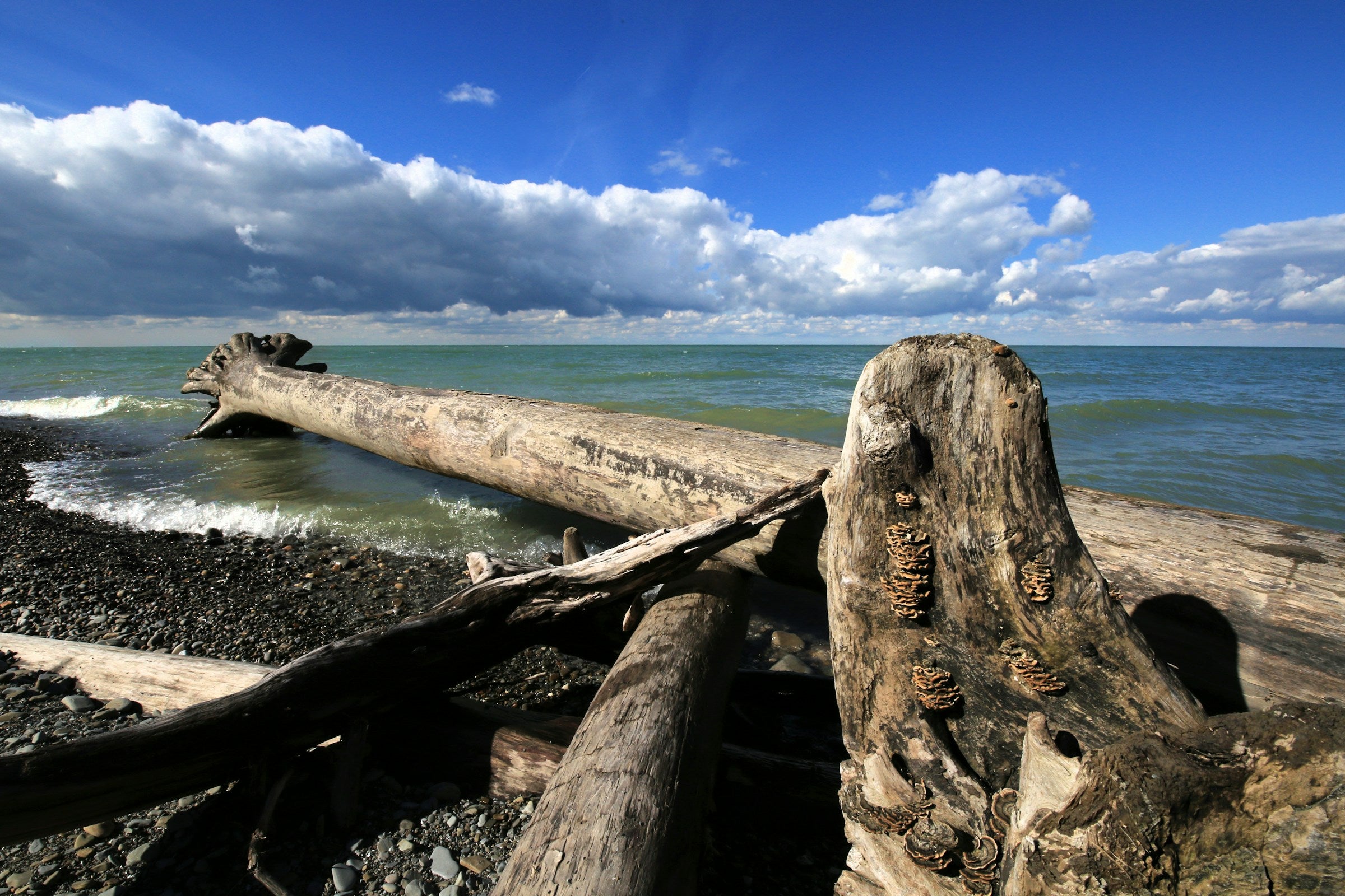 Top 10 Beaches on Lake Erie: 2024 Edition